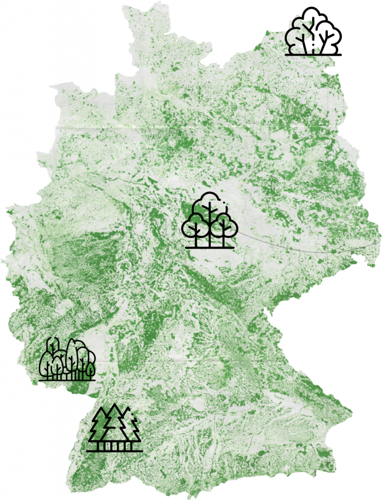 Deutscher Wald Ederbergwald